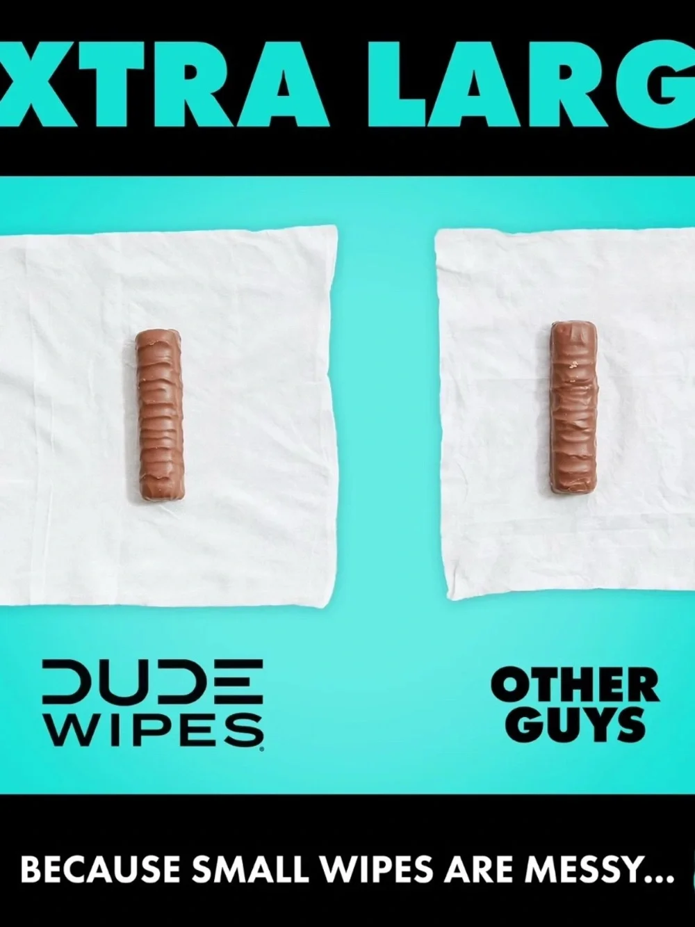 DUDE Wipes Flushable Wipes, XL Wet Wipes for At Home Use, Mint Chill, 240 Count